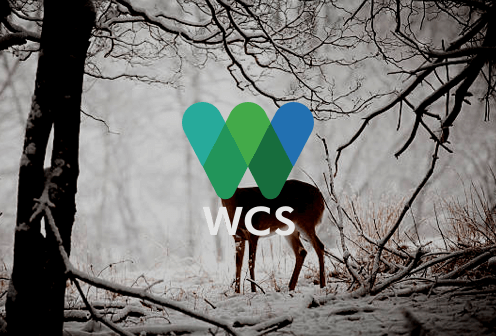 WCS